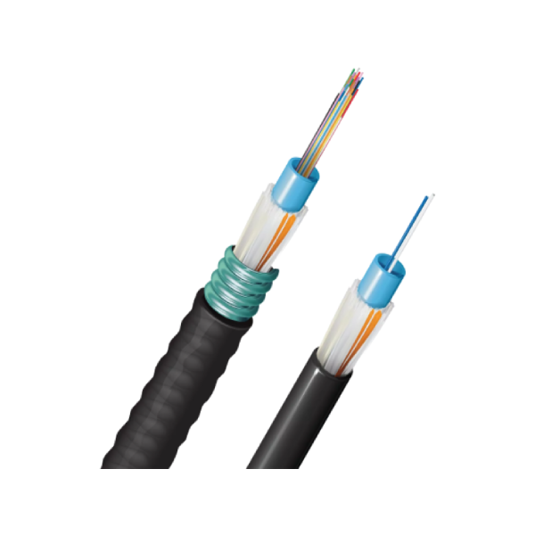 Fiber Optics